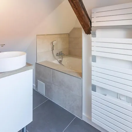 Appartement Magnifique Duplex Climatisé De 40m² Nancy