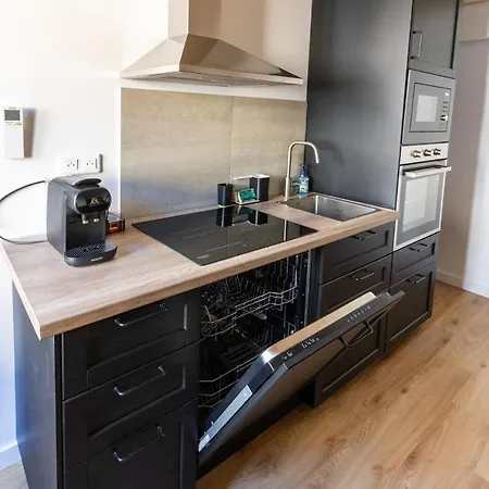 Magnifique Duplex Climatisé De 40m² * Nancy