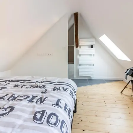 Appartement Magnifique Duplex Climatise De 40m² Nancy