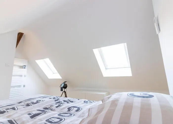 Magnifique Duplex Climatise De 40m² *