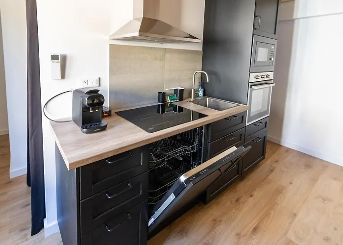 Magnifique Duplex Climatise De 40m² * Nancy