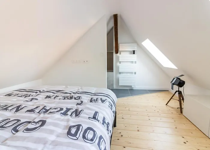 Apartmán Magnifique Duplex Climatise De 40m² Nancy